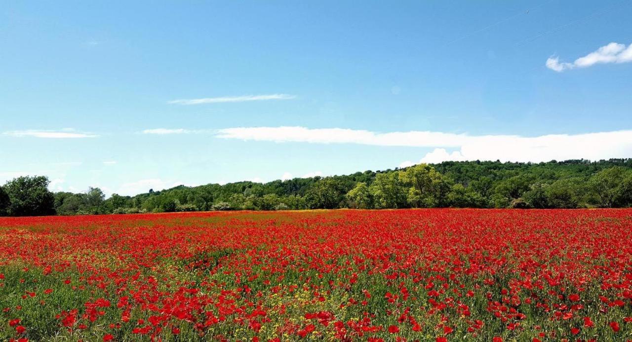 Holiday home Provence Luberon Mafasuza *